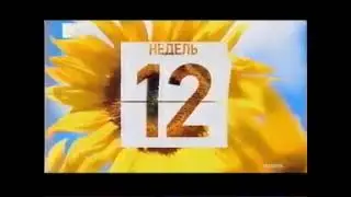 Рекламная заставка MTV Россия (11.04.2013)