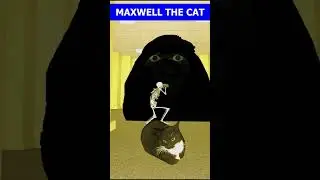Maxwell The Cat Dancing Song 🐈 
