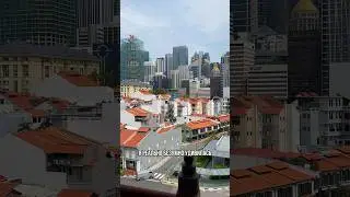 что стоит посетить в Сингапуре? 🥡🌆🇸🇬