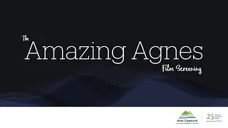 Amazing Agnes