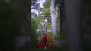 Life | Buddhism In English
