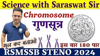 RSMSSB Stenographer | General Science | Biology | Chromosome (गूणसूत्र) | By Saraswat Sir