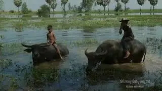 សម្លេងខ្លុយបុរាណពិរោះខ្លាំង ស្តាប់ហើយនឹកស្រុកកំណើត - Flute Music | Relaxing Music. #relaxing #relax