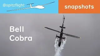 Cobra Spitzerberg 2024 II