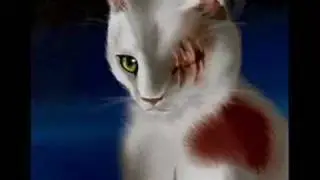 Warriors: Brightheart   -Ugly Girl-