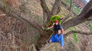 ЖИВОТ на СЕЛО: Как се грижим за ОПАСНИТЕ и високи ДЪРВЕТА