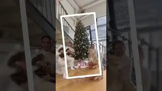 Merry Xmas 2022!! 🎄