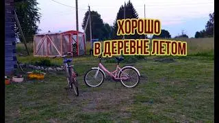 Хорошо в деревне летом. Огород, картошка и прочие радости