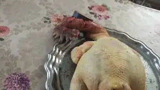 Они ,самые лучшие,кроссы.Много мяса,и много яиц.