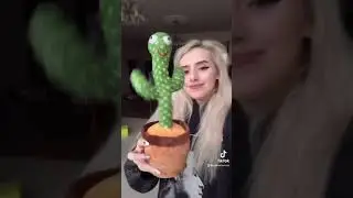 ТАНЦУЮЩИЙ КАКТУС! 