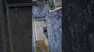 Паучье чутьё в реальной жизни 😱🕷 