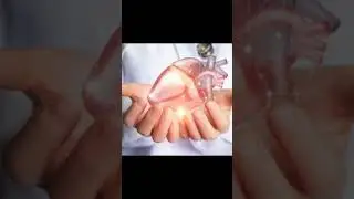 Курамшин Дамир Абдуллаевич - заведующий стационарным отделением N 2 г. Астрахань.