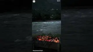 BBQ on Kashmir river 