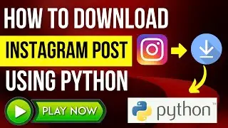 How to Download Instagram Post Using Python -  Download All The Data From a Profile