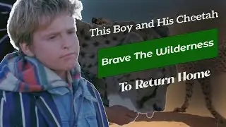this boy and cheetah brave the wilderness to return home |