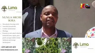 DC SONGWE AKUTANA NA VIONGOZI WA DINI NA KUZUNGUMZA OFISINI KWAKE.