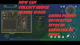 Last Day on Earth Survival | Collect Hedge in Pine Wood / Recolecta Setos en Arboleda de Pinos LDoE