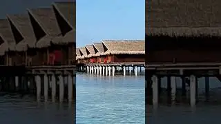 Мальдивы. Домики на воде вблизи. Резорт. Мальдивы за 56 тысяч рублей с перелетом. 