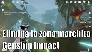 Ayuda a Tignari a eliminar la zona marchita - Genshin Impact