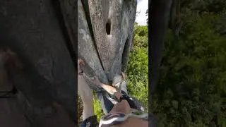 How I Climb a Strangler Fig