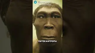 ГОРМОН РОСТА ПРЕВРАЩАЕТ В ОБЕЗЬЯНУ 