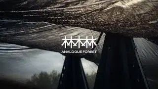 北美館│2024 X-site：林木林 Program X-site 2024: Analogue Forest