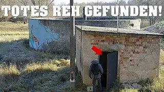 TOTES REH GEFUNDEN | Die verlassene Kläranlage | Urbex - Lost Place | 