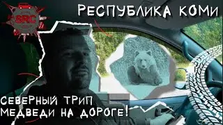 Коми! Сыктывкар Ухта Печора! Медведи на дороге! Большой северный трип! 