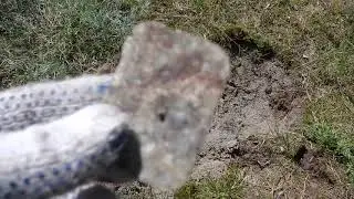 Finds in the forest and on the beach with a metal detector