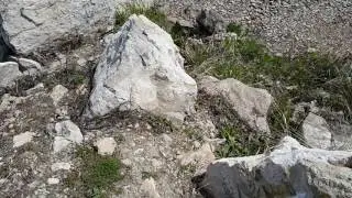 Красота природы