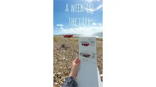 MINI VLOG - Week 242 of being an artist