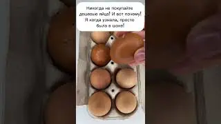 Никогда не покупайте дешевые яйца! Выброс денег 