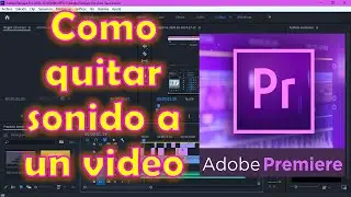 Separar el Audio del Video // Eliminar el audio // Cortar video y audio // ADOBE PREMIERE PRO 2020