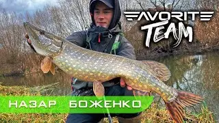 Крупная щука на НЕОГРУЖЕНЫІЙ СИЛИКОН. Зимняя ловля на спиннинг. Favorite Team.