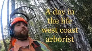 The best Tuesday falling bucking and a log staircase