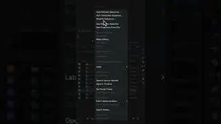 Make Youtube Shorts With One Click! In Premiere Pro