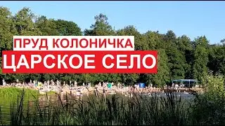 Пруд Колоничка, #ЦарскоеСело, #Петербург | август 2022