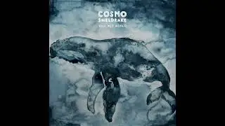 Cosmo Sheldrake - Bodies Of Water