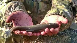 Special fishing rod for a large minnow. Fishing in Primorsky Krai.