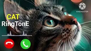Cute Baby Cat Ringtone || Voice Tone New Notification || SMS ringtone download 2024 