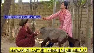 Мардакчон дарузи Туймон Мекшемша ха. Не и Хайвон Чи гунох Дорай Холата мекшем ки мора Шинос кардабд