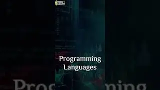 What Are The Things That Every Programmer Should Know?