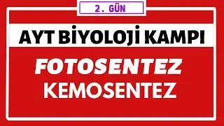 Fotosentez Konu Anlatımı | AYT BİYOLOJİ KAMPI | 2.gün |