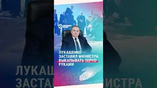Лукашенко министру: «Ищи зерно». Тот немедленно стал копаться в земле. Что это было?