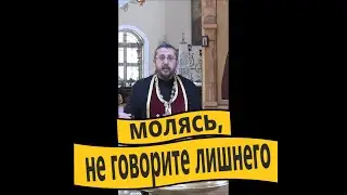 Молясь, не говорите лишнего. Священник Игорь Сильченков.