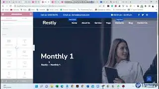 Restly Pricing Table Widget Customization Process