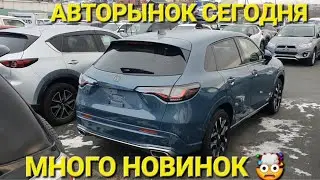 АВТОРЫНОК ЛЮТЫЙ ДВИЖ, ВЛАДИВОСТОК, ЗЕЛЁНЫЙ УГОЛ ЦЕНЫ
