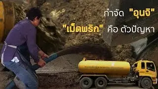 เรื่องขี้ๆ ที่ควรรู้ ปลายทางรถดูดส้วมกับ ใครจะคิด 
