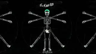 Bok Nero - MOTION