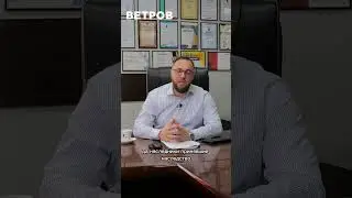 16 августа 2024 г.